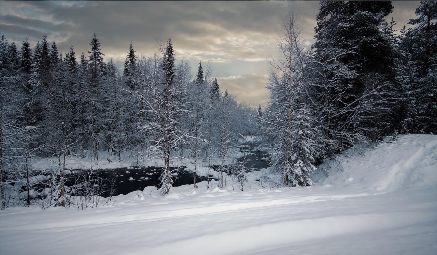 швеция,скандинавия.заполярье,природа, Lapland