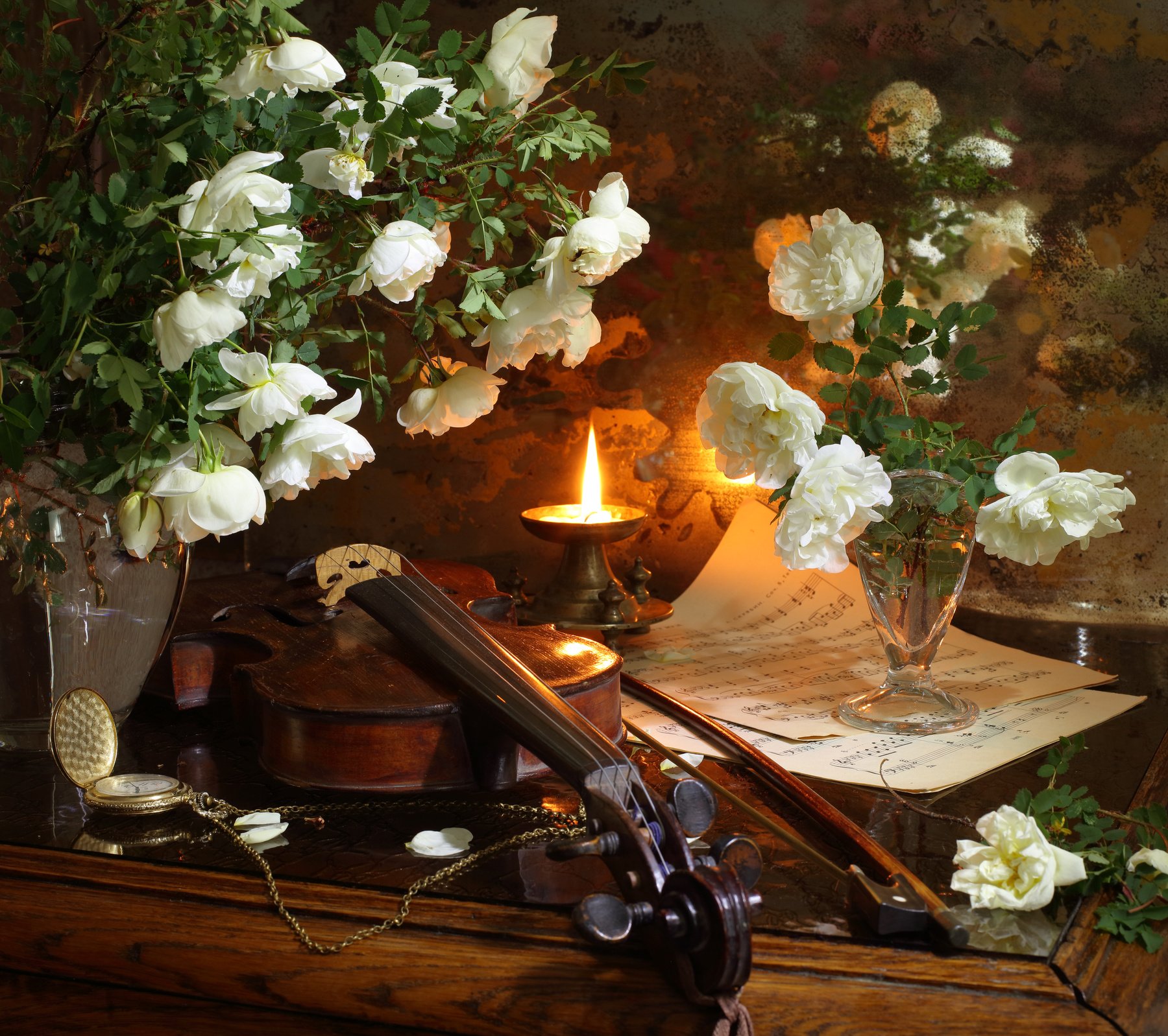 розы, скрипка, музыка, свеча, Андрей Морозов