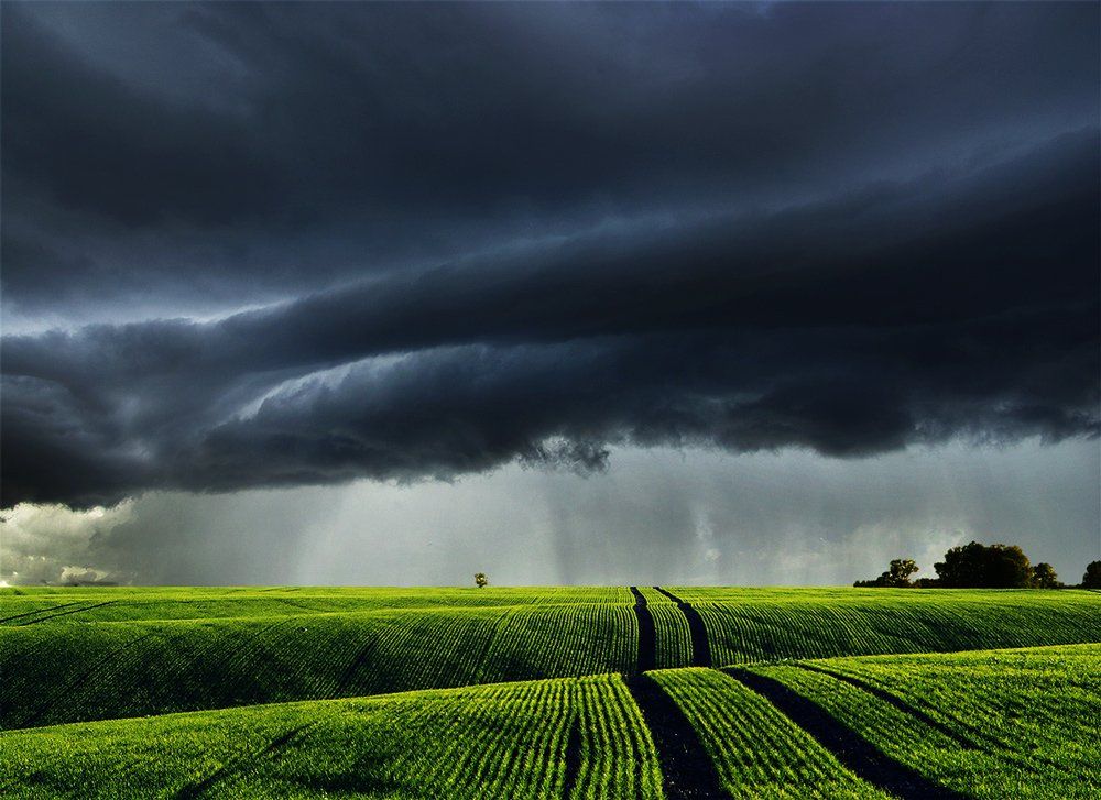Lithuania, field, grass, storm, clouds, Mindaugas Žarys