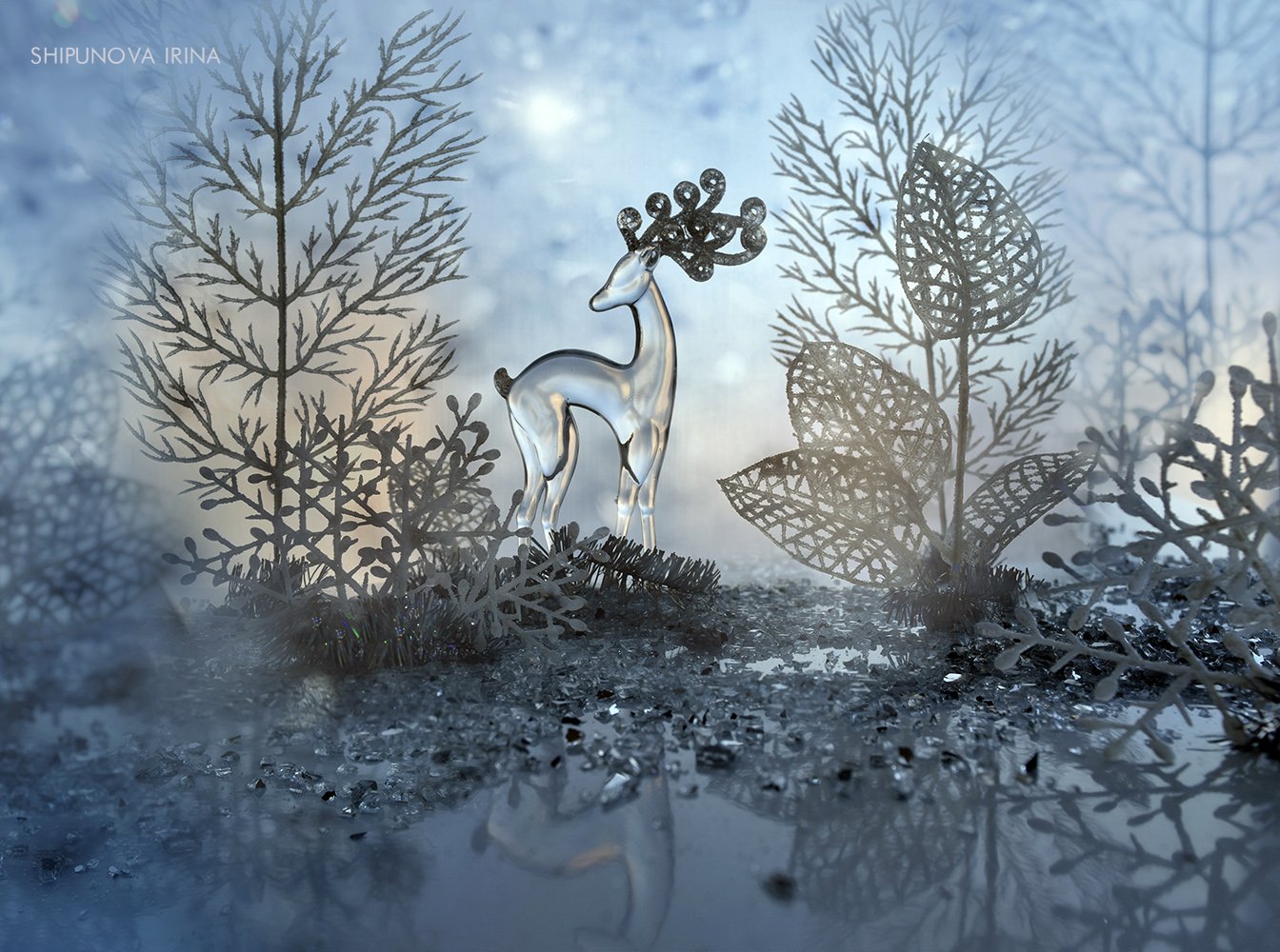 олень зимний лес отражение, Шипунова Ирина