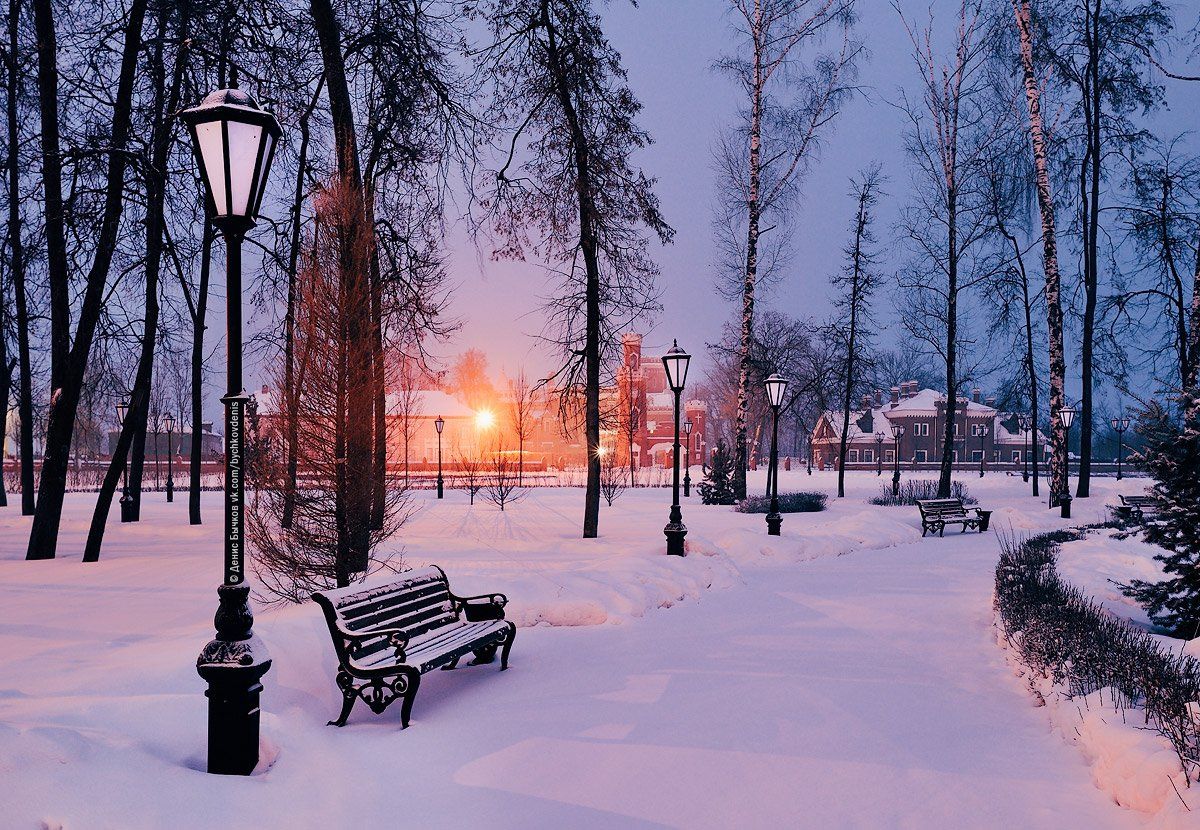 воронеж, Рамонь, зима, Бычков Денис