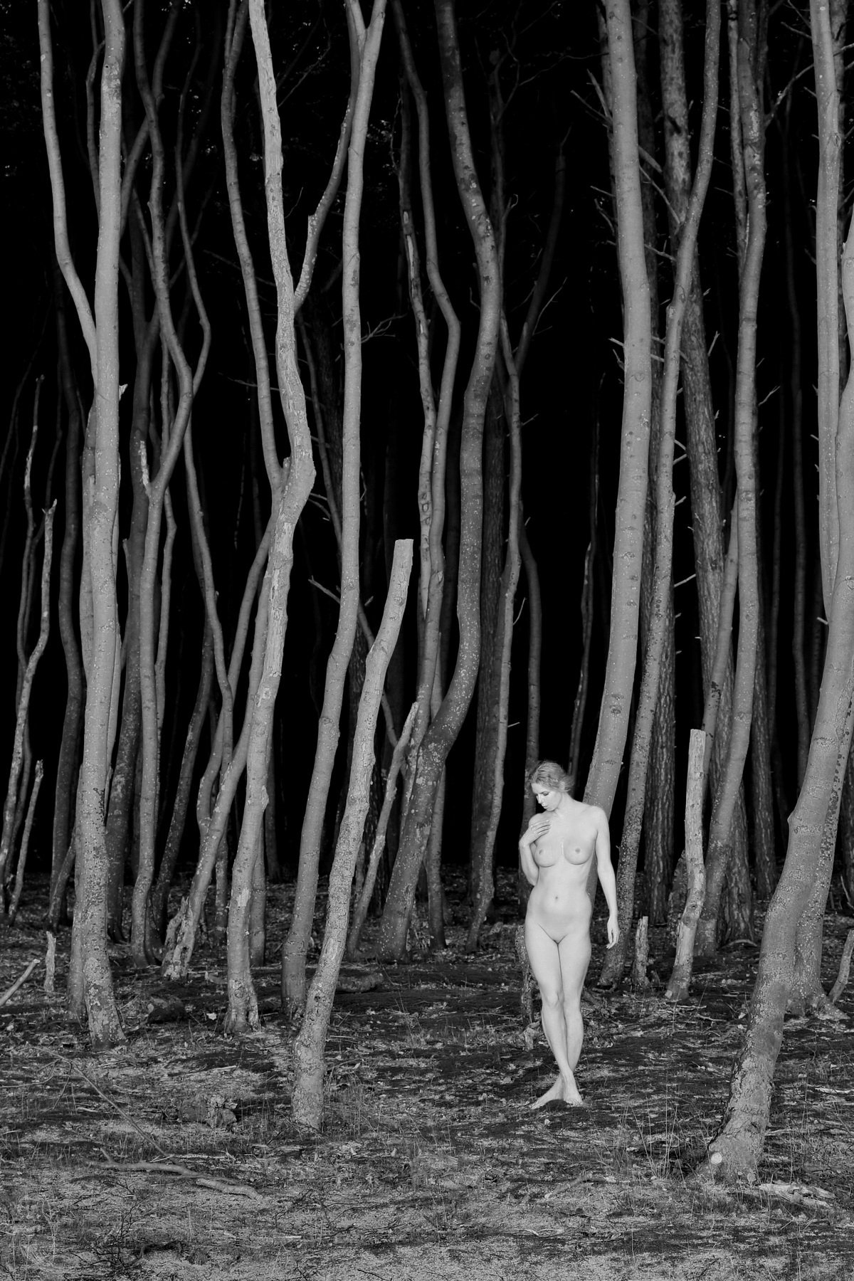 forest, trees, girl, nude, Dieter Kittel