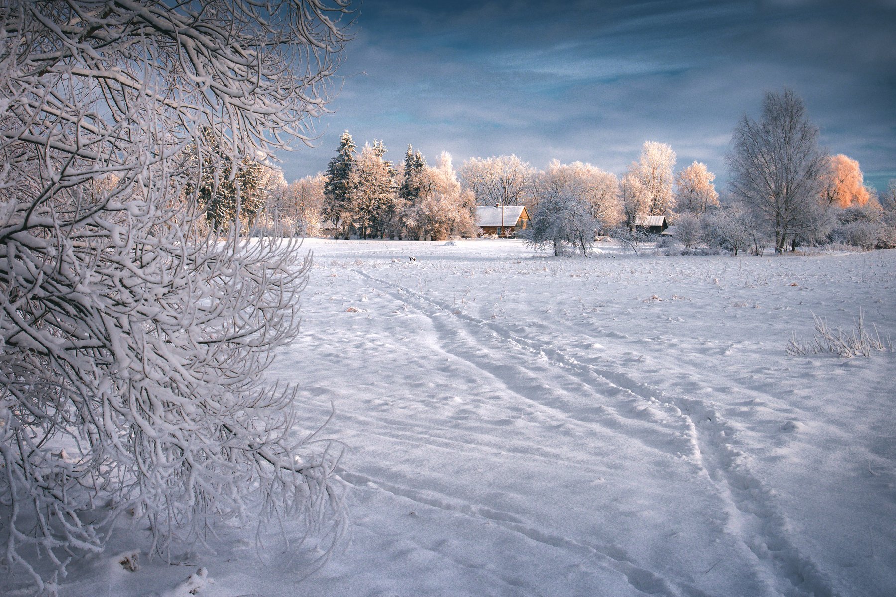 winter,landscape,light,зима,утро,пейзаж, Olegs Bucis