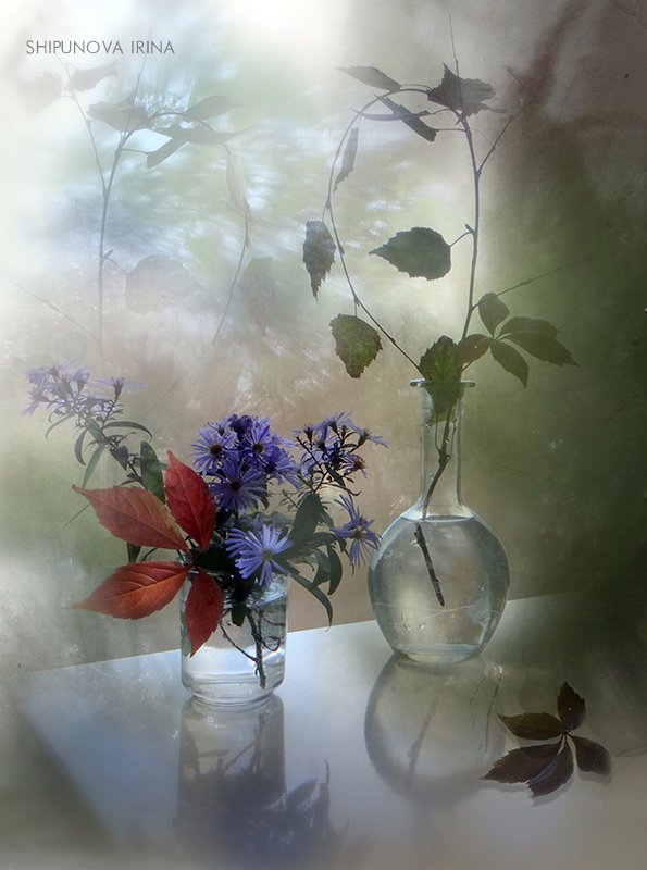 сентябрины осенние листья стекло отражение, Шипунова Ирина