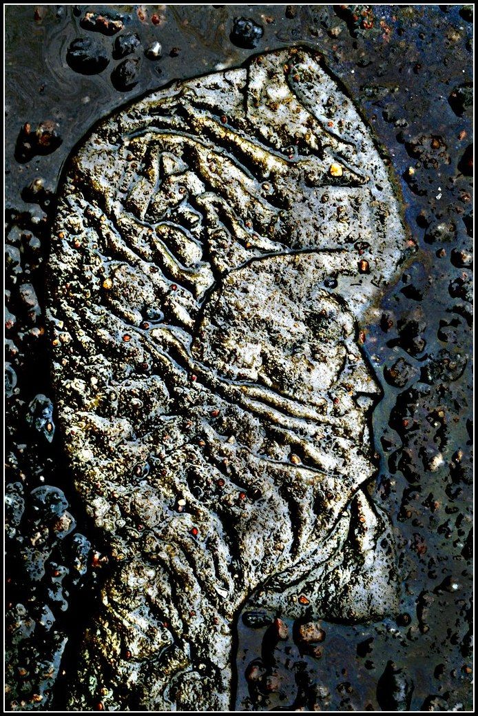 , ПОЛУЕВ ИЛЬЯ