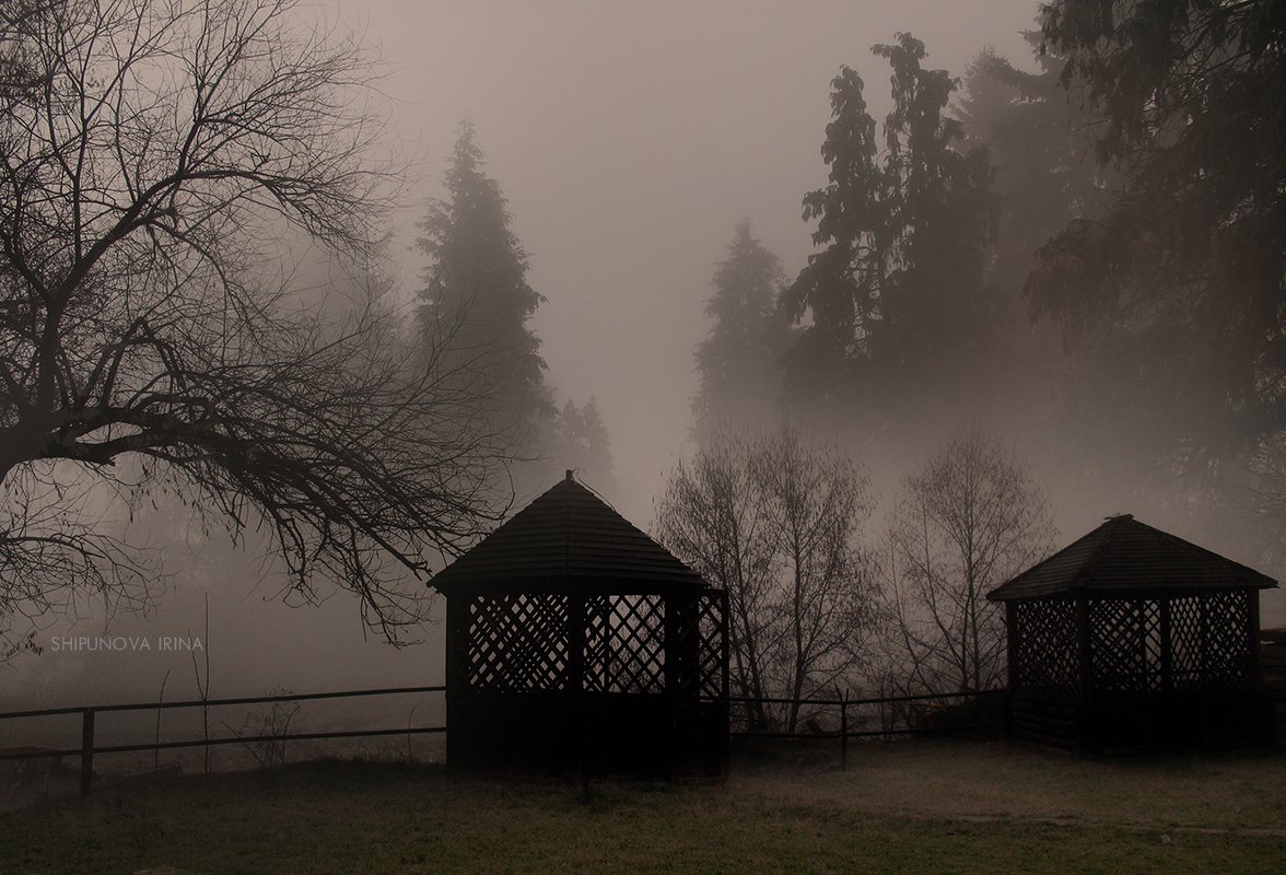 сказочный лес туман беседки, Шипунова Ирина