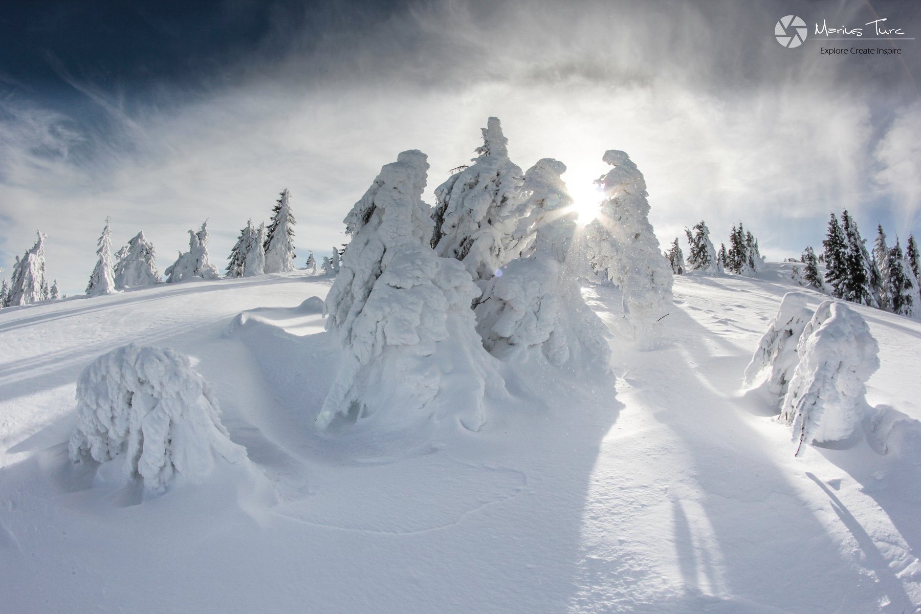snow,trees,winter,frozen,sky,sun,light, Marius Turc