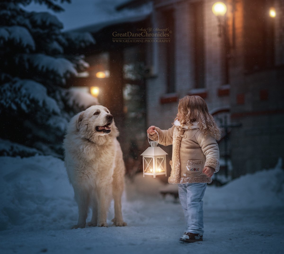 собаки, дети, зима, рождество, сказка, большая горная пиренейская собака, Андрей Селиверстов