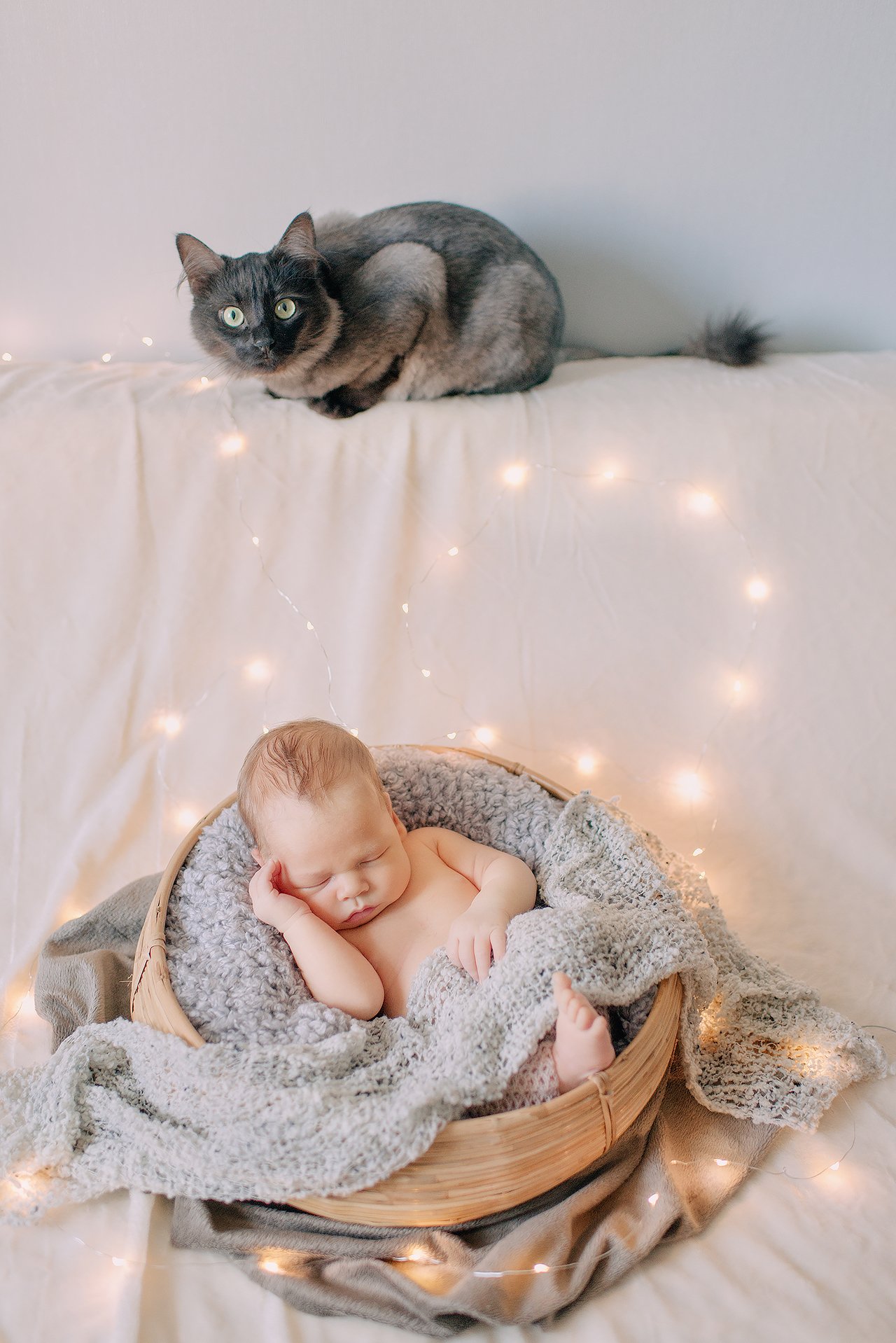 новорожденный ребенок мальчик малыш дети животное кот свет дом тепло уют глаза , Власко Алена