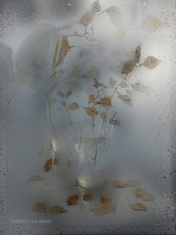 дождь осень стекло берёзовые листья капли, Шипунова Ирина