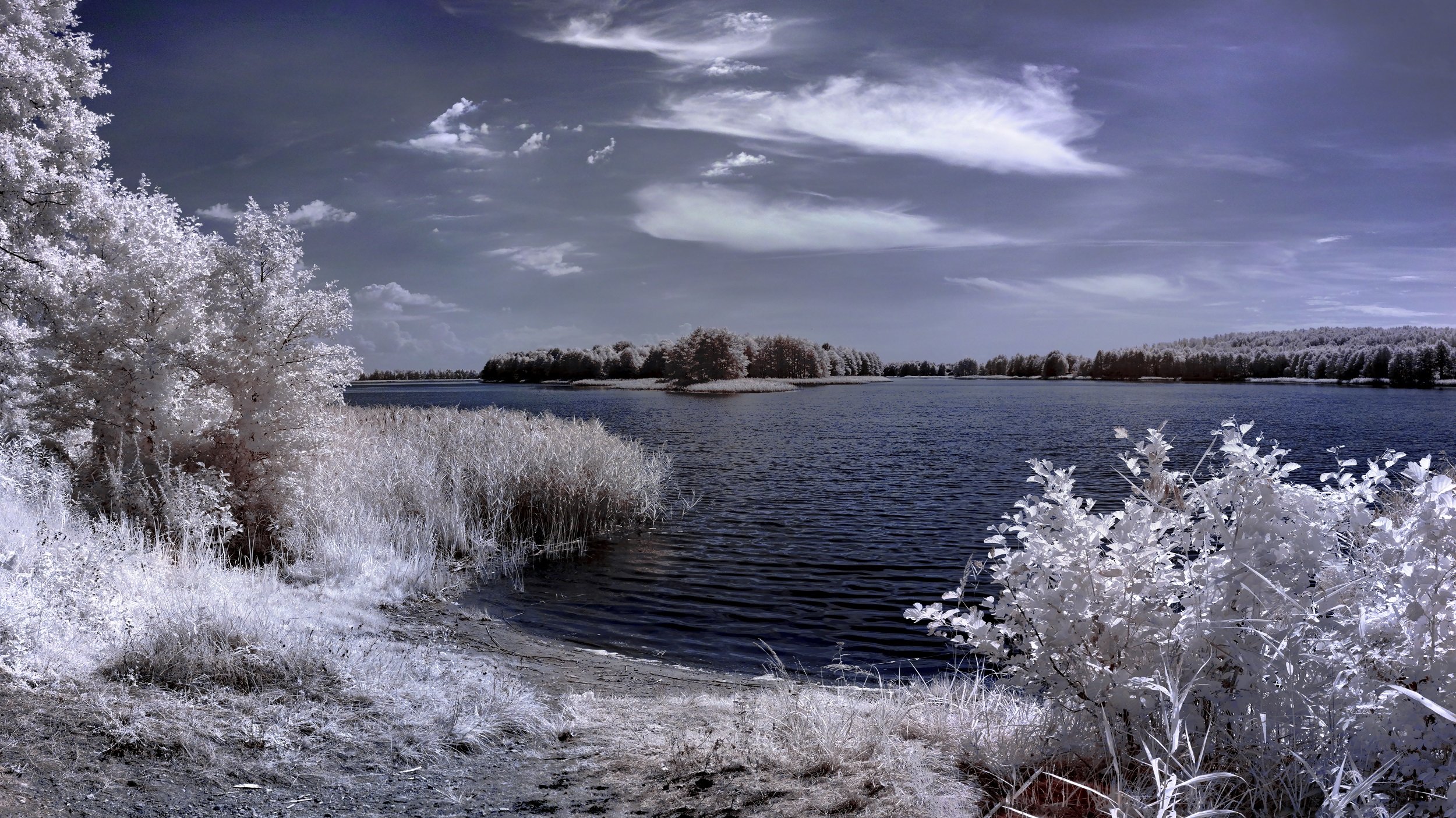 infrared,ик-фото,инфракрасное фото,инфракрасная фотография,пейзаж,природа,беларусь,лето, Sixten ( Сергей )