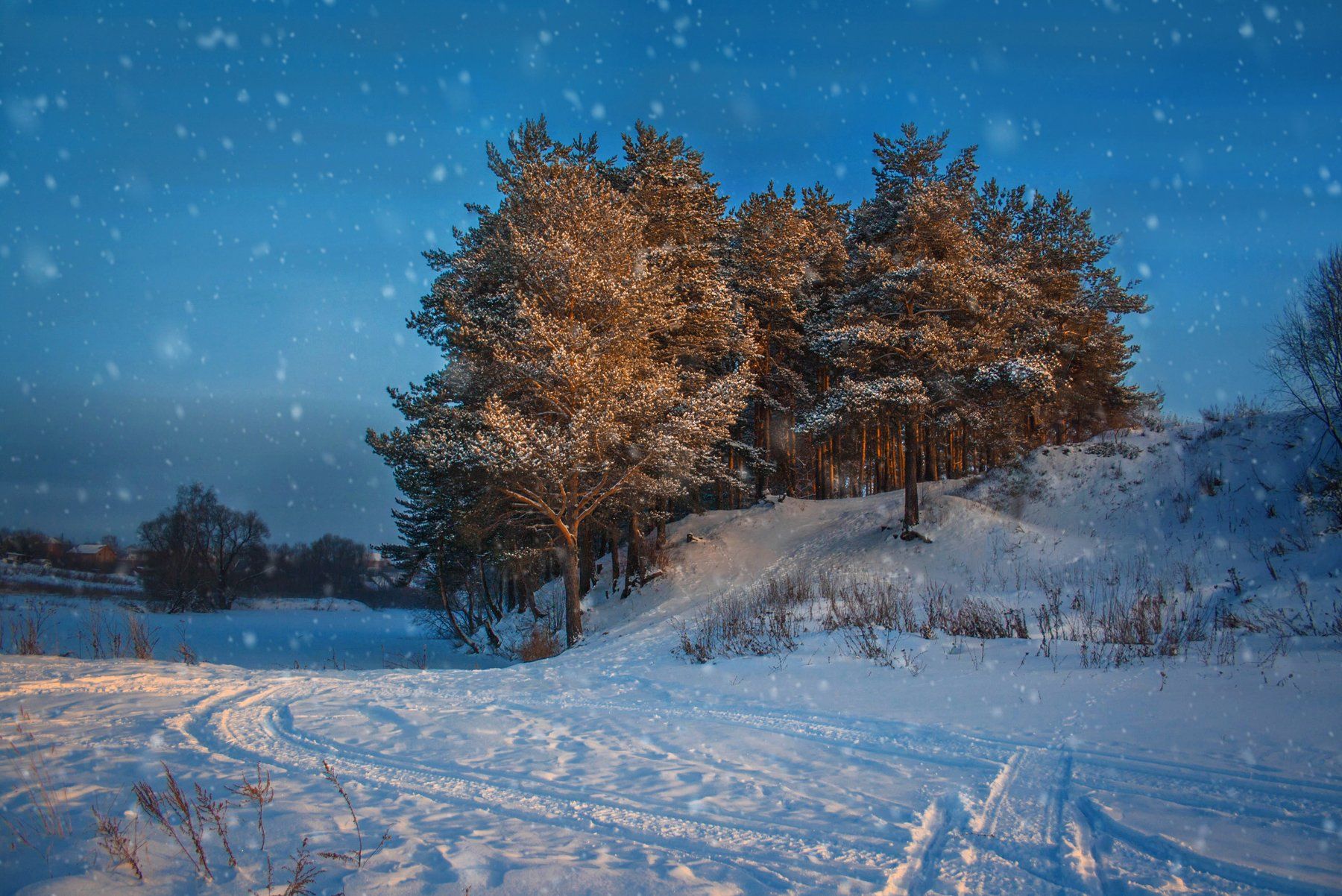 фото, природа, снегопад, зима, Екатерина