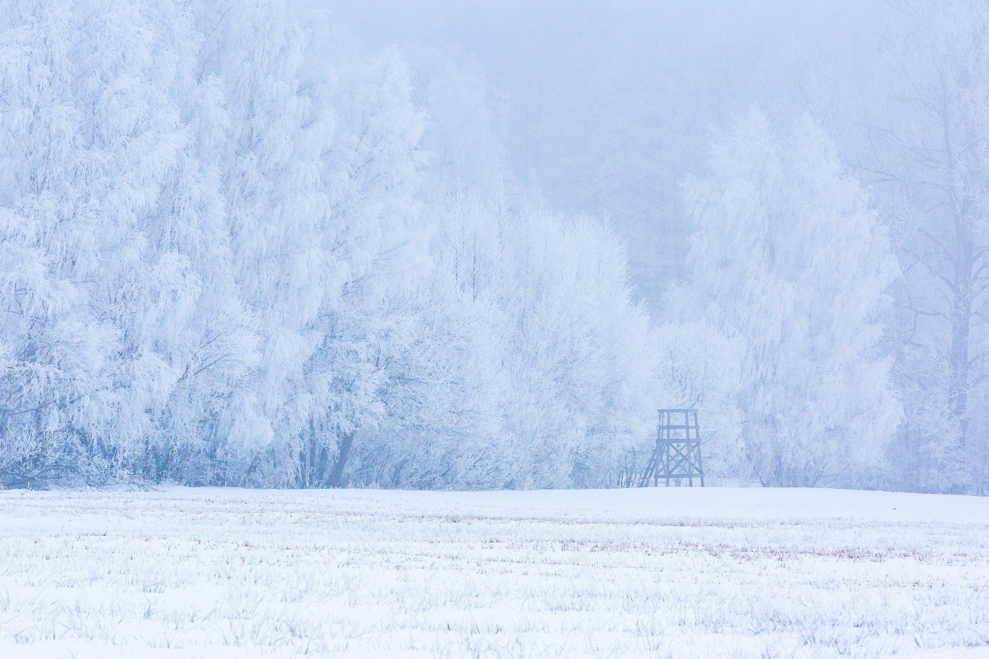 landscape, poland, winter, hoarfrost, Milosz_G
