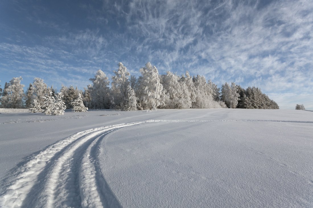 снег колея сугробы лес иней облака кружева зима мороз, Георгий Машковцев