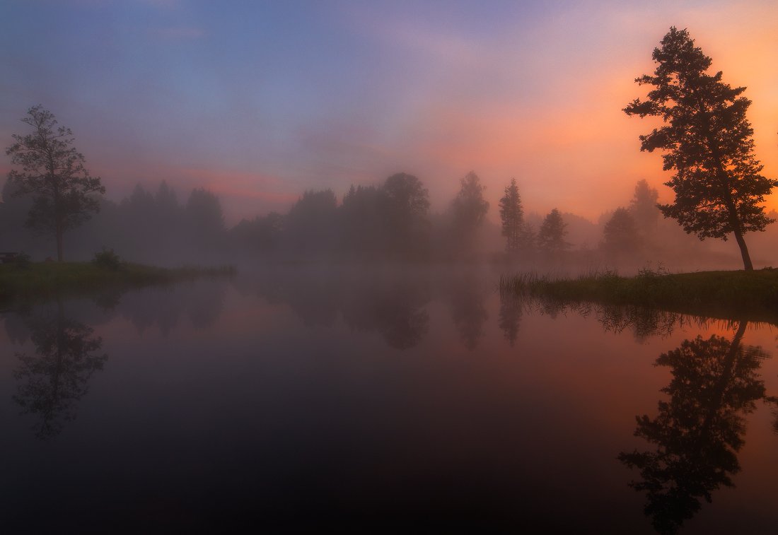 morning, sunrise, mist, lake, reflections, summer, fog, trees, water, clouds, colours, Justinas Kondrotas