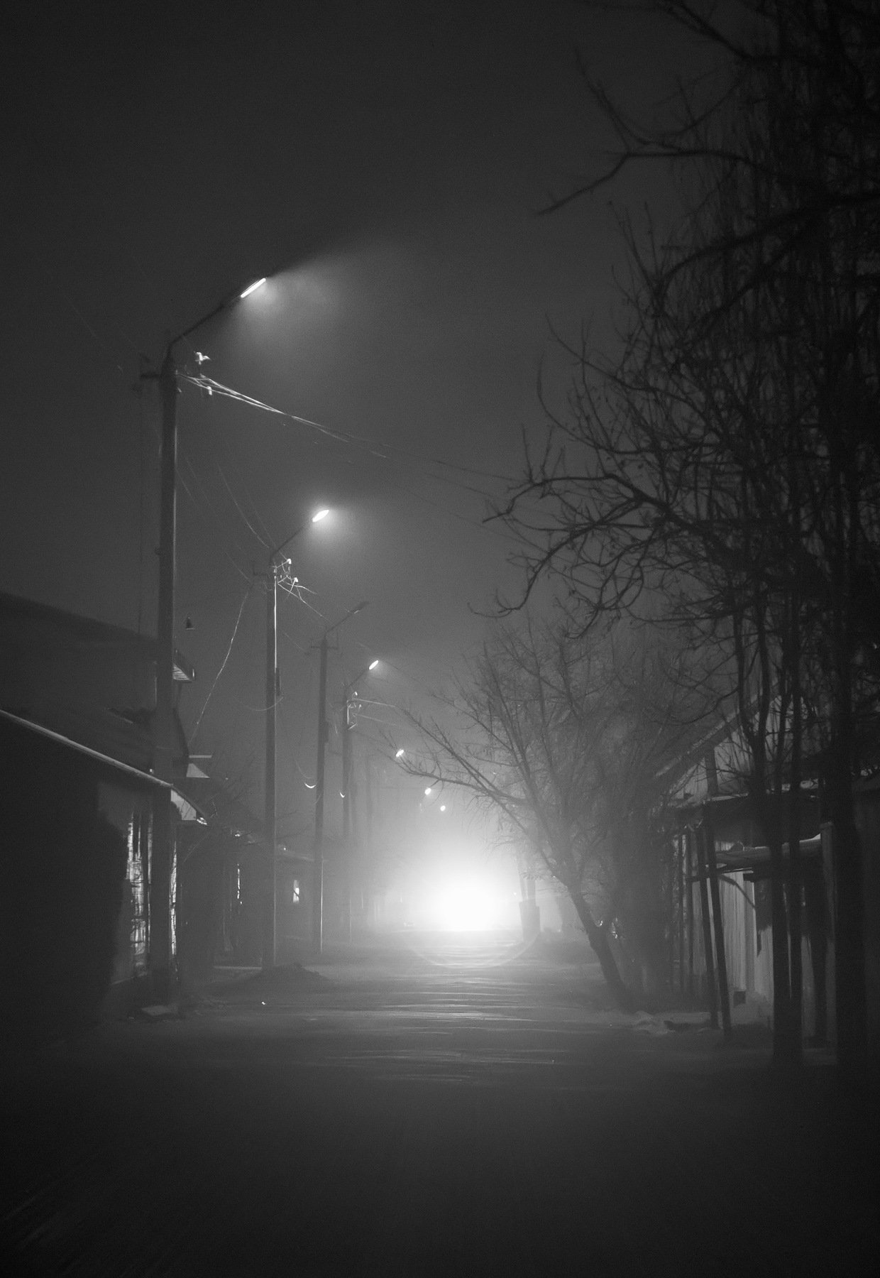 ночь, улица, фонарь, street, nightshot,, Марат Сайранбаев