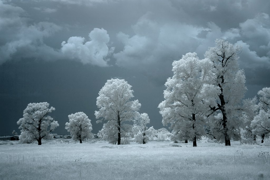 пейзаж,инфракрасный,фильтр, деревья,небо,ir,infrared,landscape,dream,, Олег Грачёв