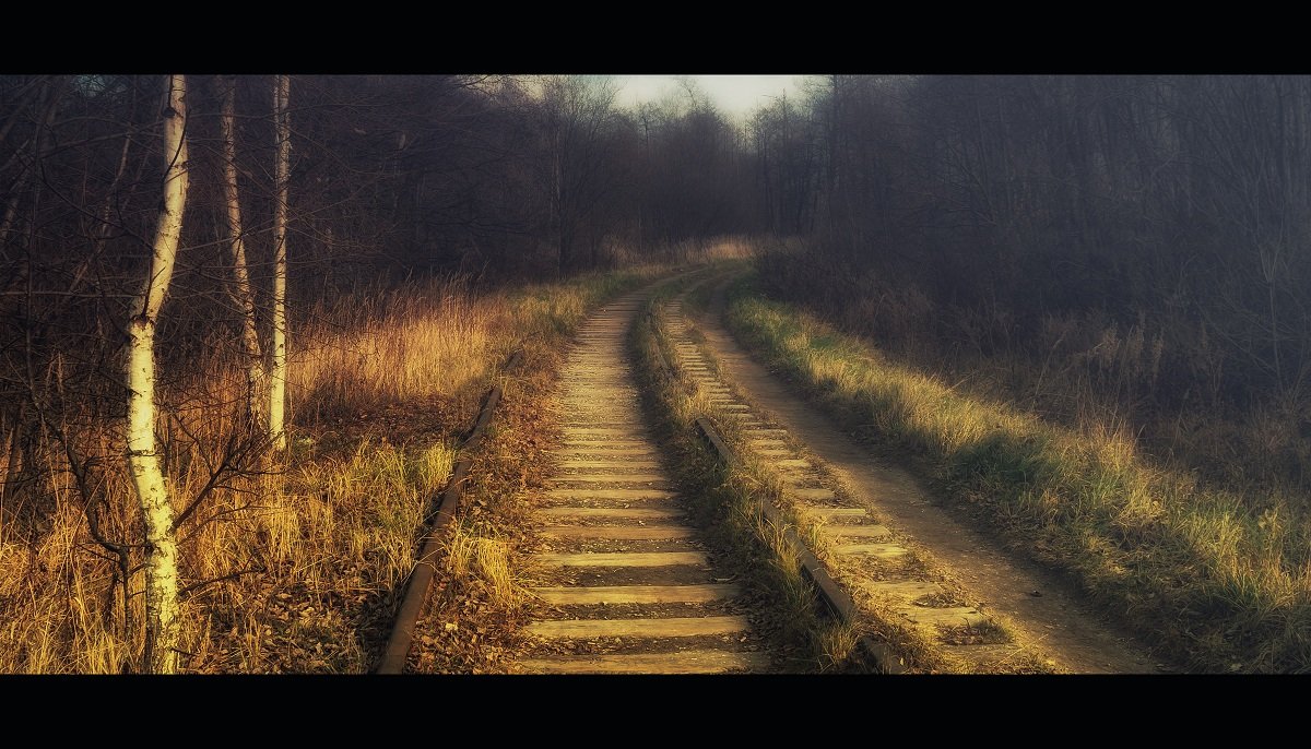 way,road,nature,autumn, Помещиков Ян