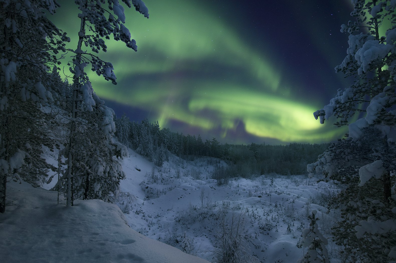 Северное Сияние, Aurora borealis, Кольский полуостров, Анастасия Малых