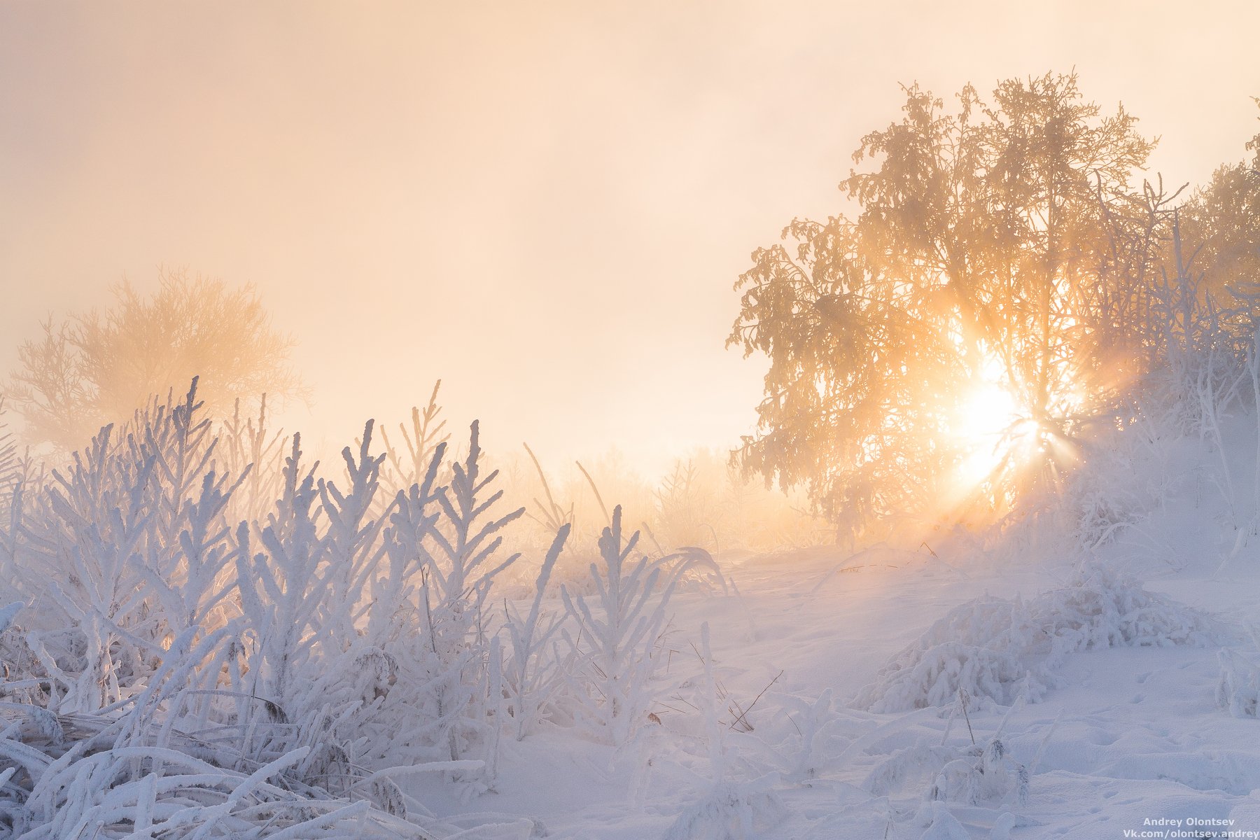 дубна, пейзаж, зима, рассвет, туман, canon, Андрей Олонцев