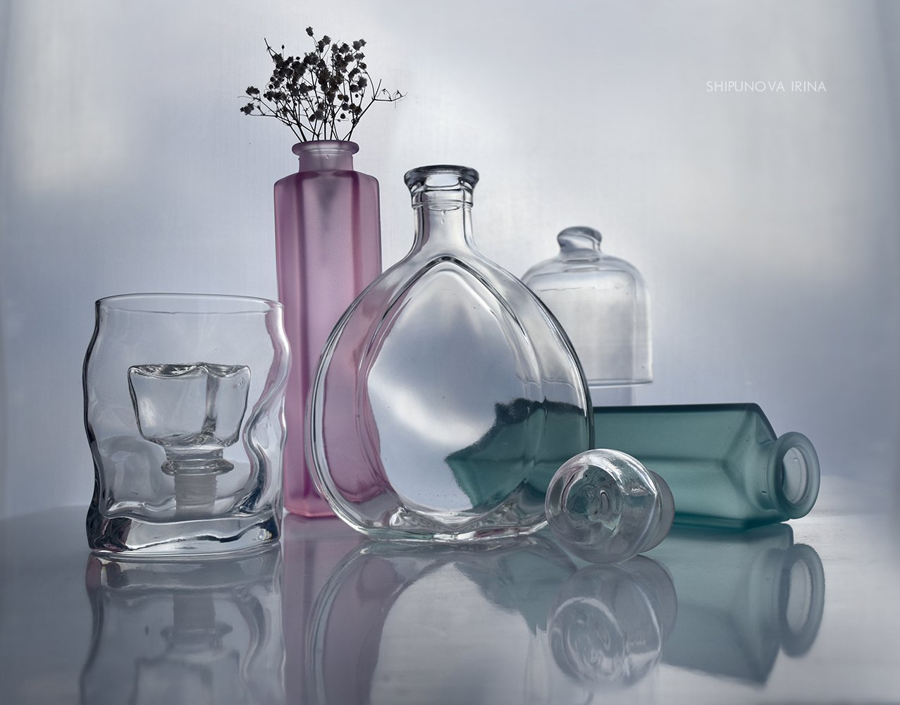 стекло отражение сухоцвет, Шипунова Ирина