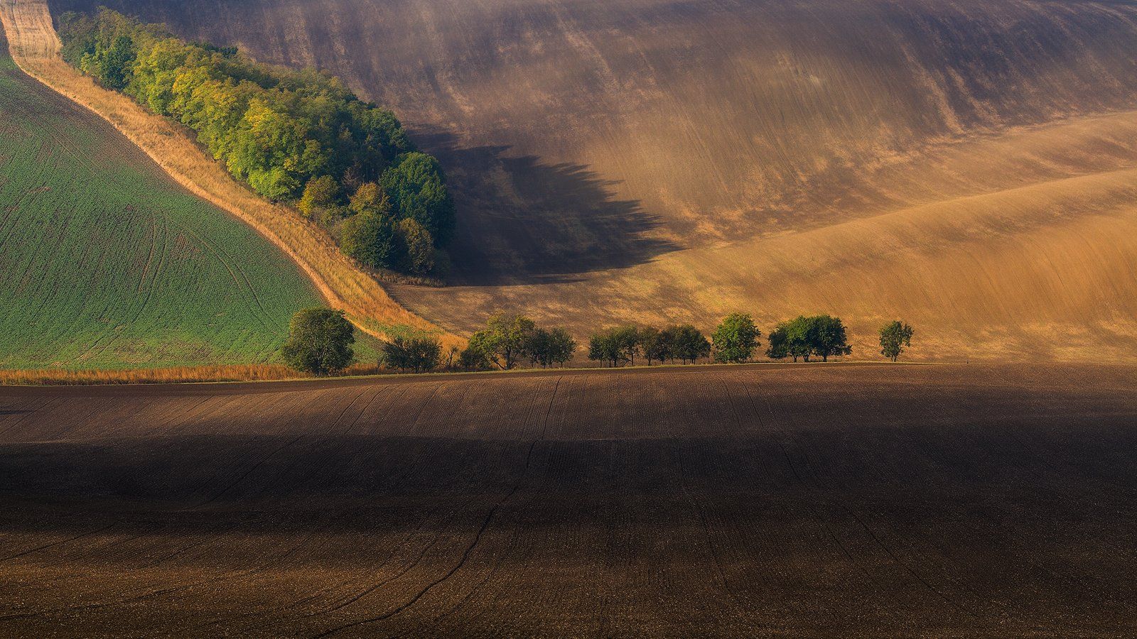 landscape,canon,moravia,light,autumn, Iza,Darek