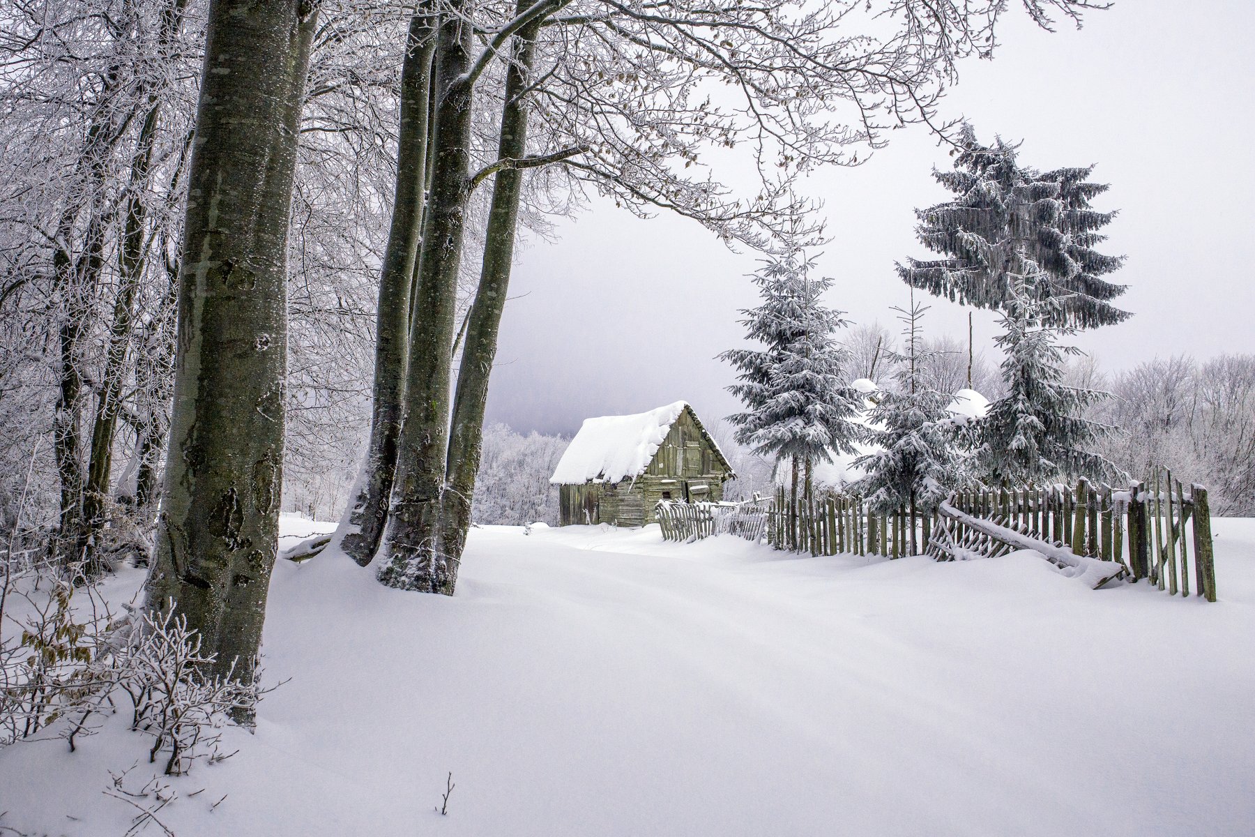 winter,snow,house,trees,frozen,fence,, Marius Turc