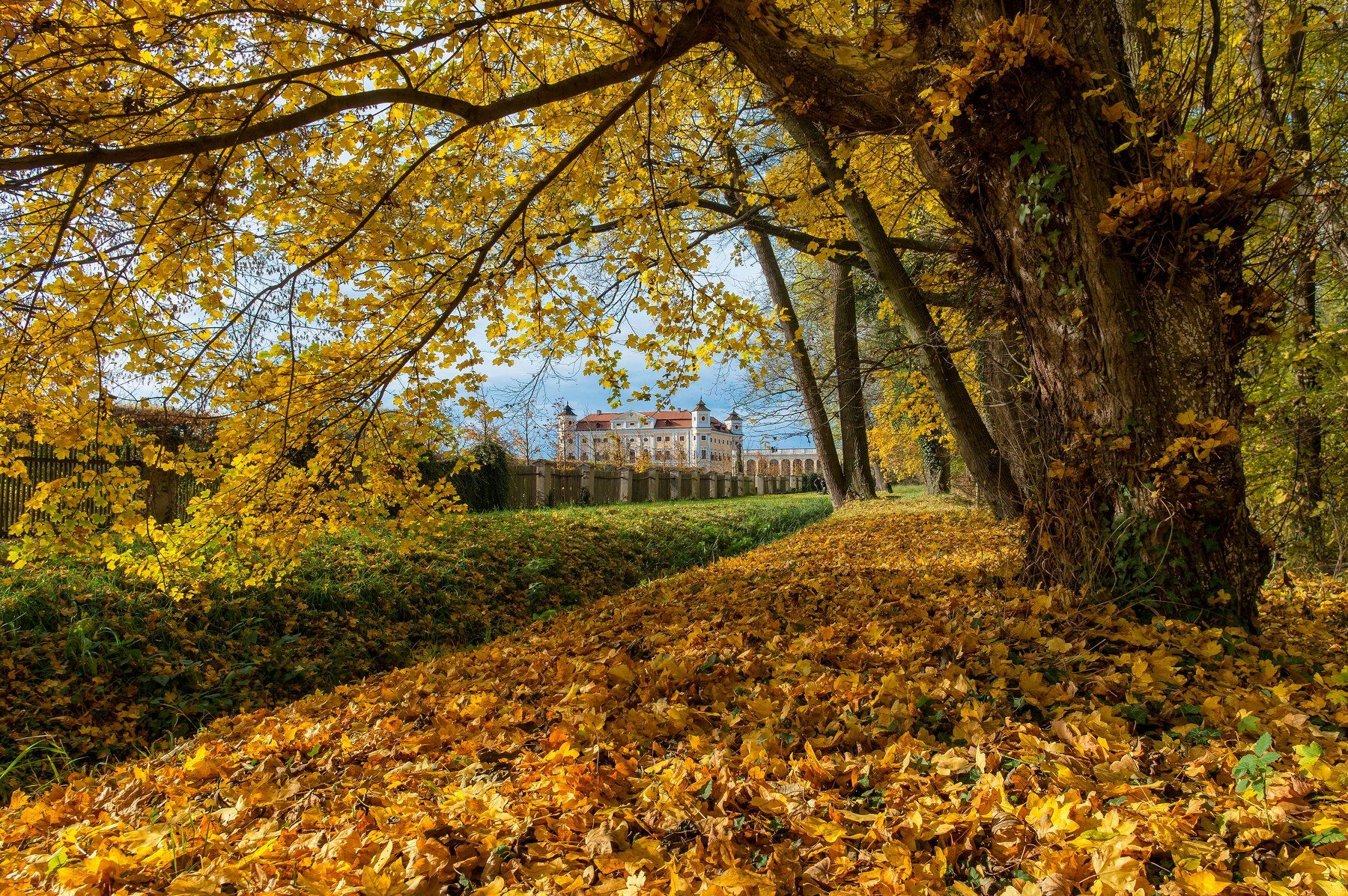 Чехия Южная Моравия осень пейзаж замок, Сергей Давыдов