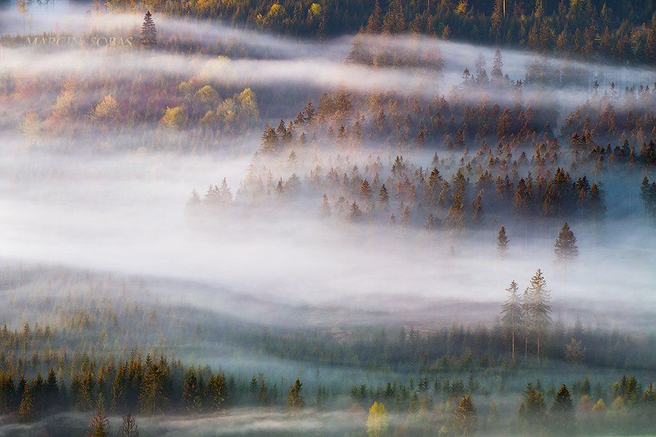 , Marcin Sobas