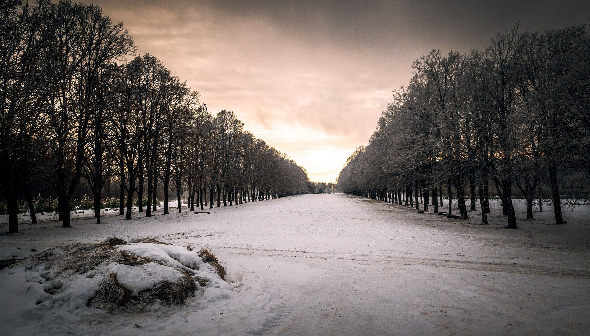 пейзаж, landscape, color, nature, trees, nikon, photo, beauty, sunshine, winter, snow, Андрей Лободин