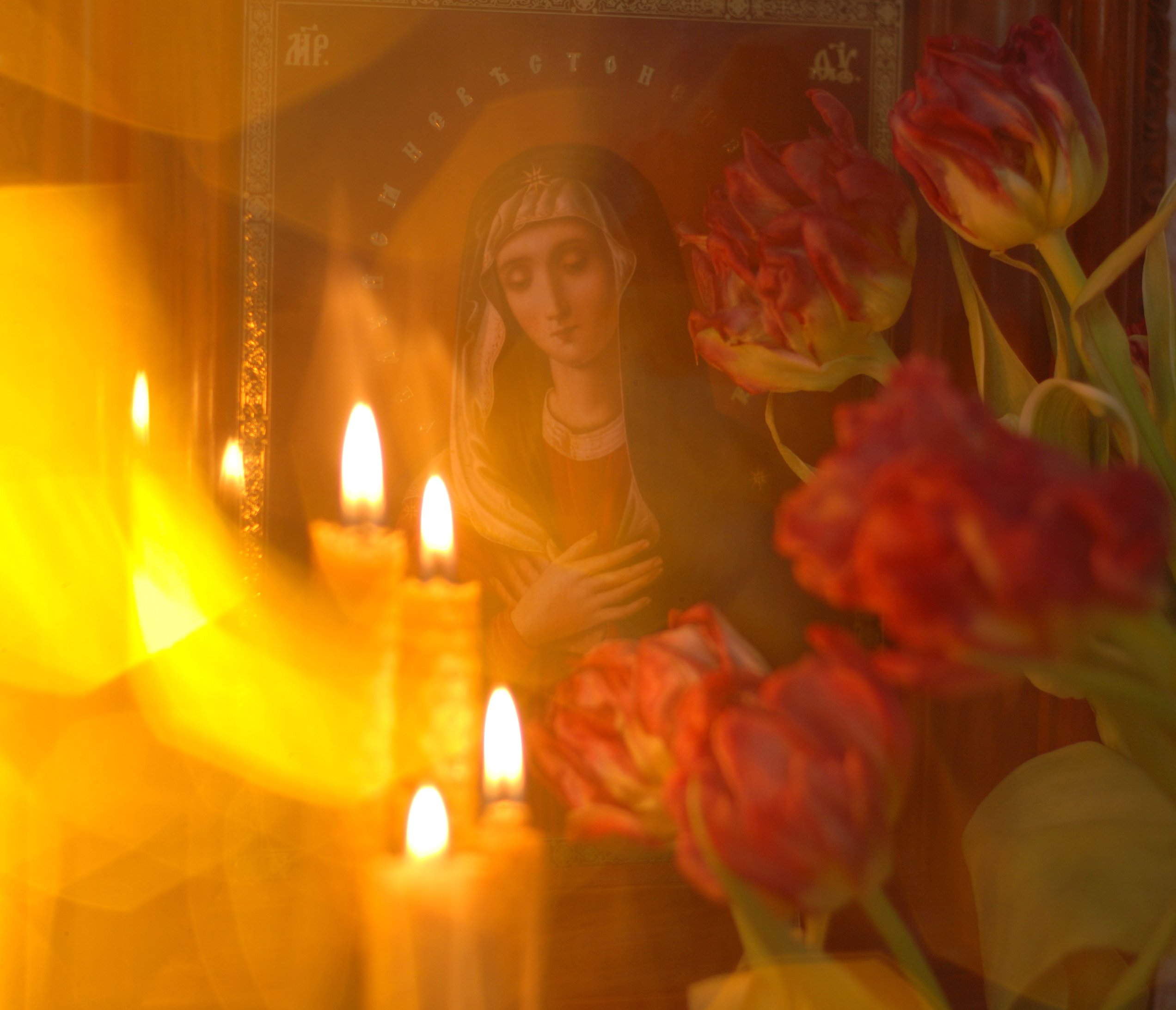 религия, свечи, икона, цветы, Андрей Морозов