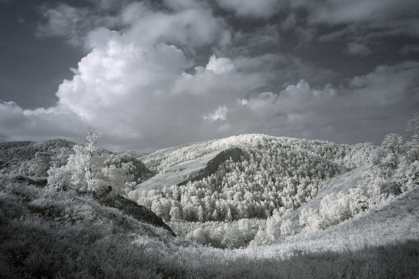 инфракрасный,фильтр, пейзаж, урал,горы,небо,облака,деревья,, Олег Грачёв