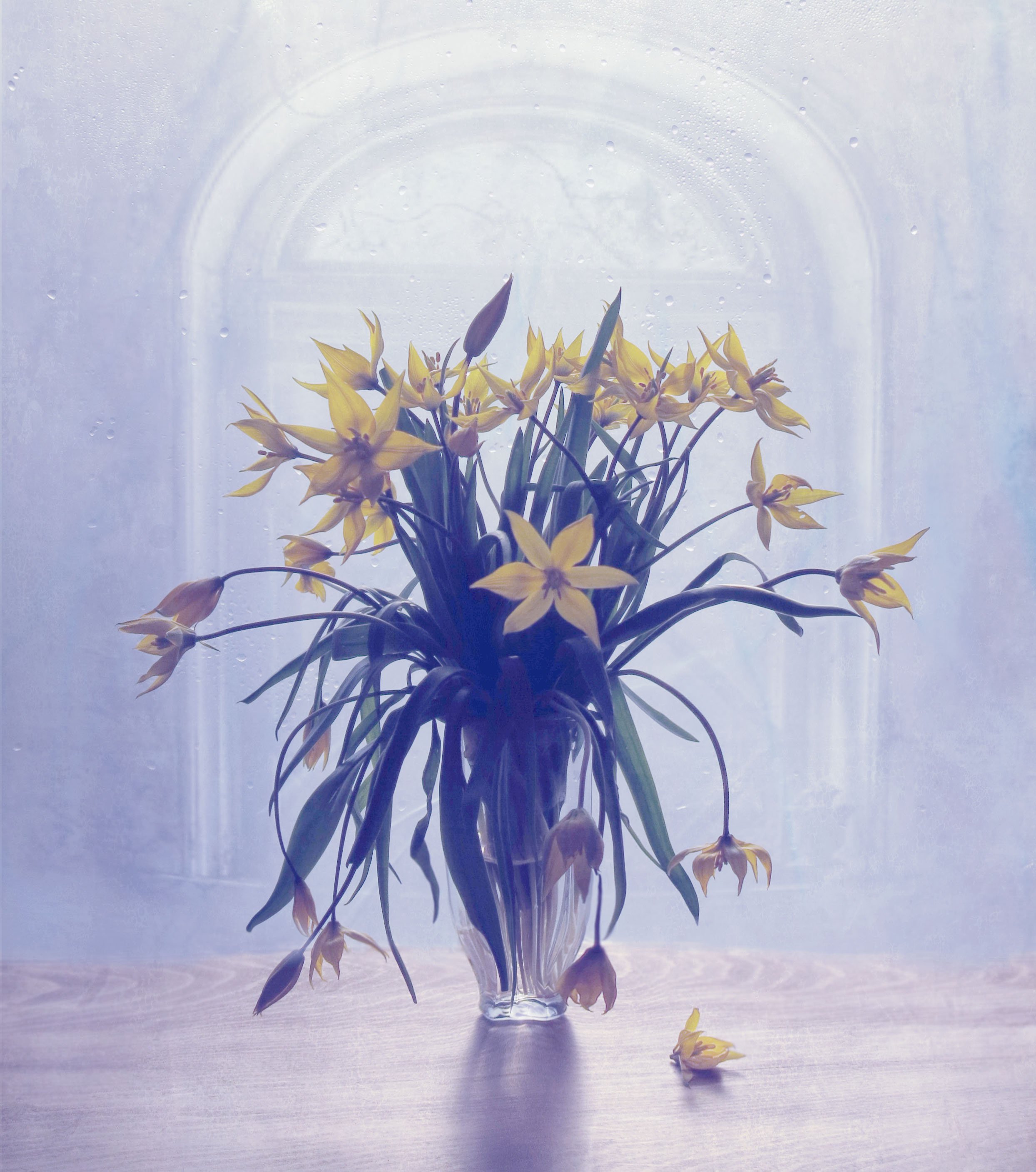 апрель, цветы, растение, природа, букет, ваза, окно, желтый, весна, натюрморт, Елена Лысенко