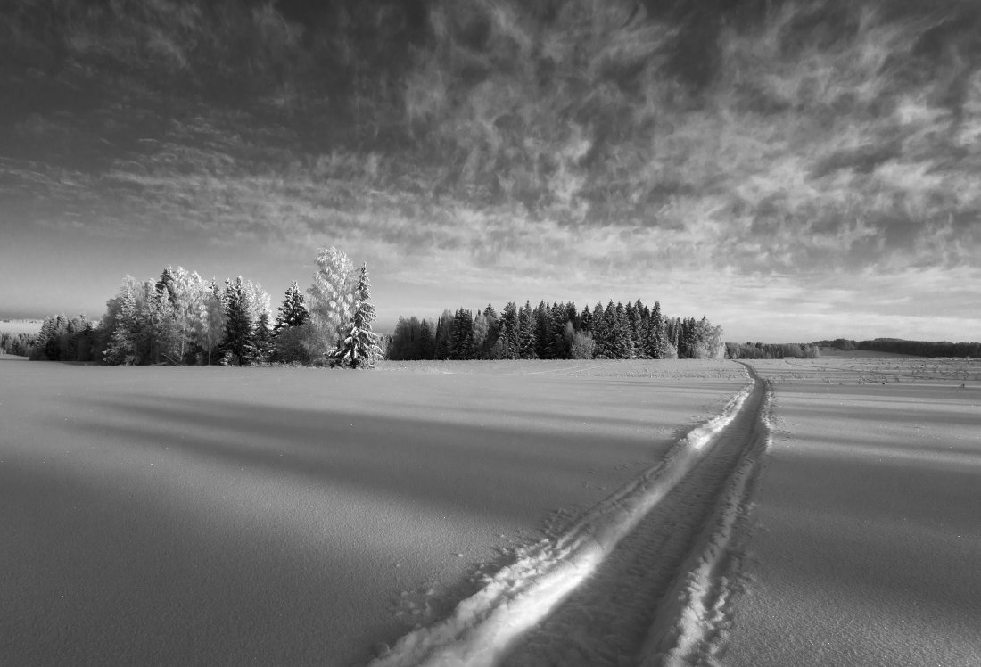 Поле колея снег лес тени облака зима мороз, Георгий Машковцев