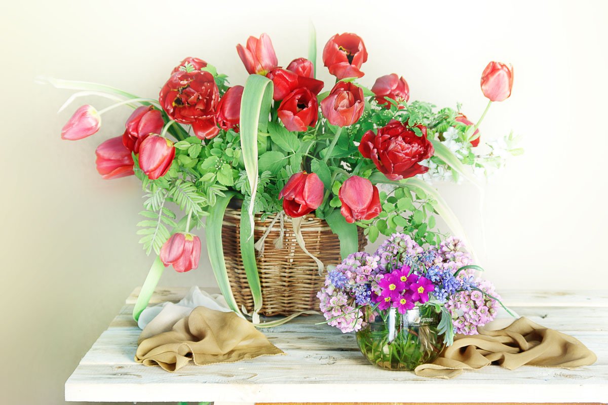 весна,тюльпаны,цветы,, Вера Павлухина