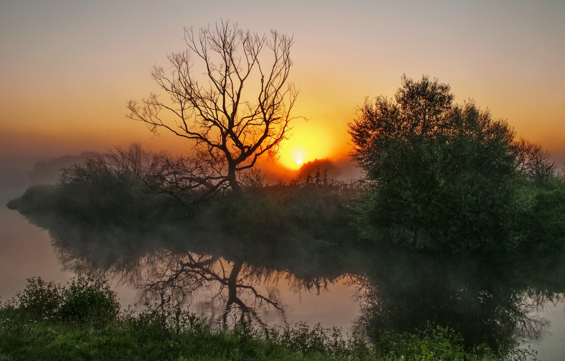 утро, туман, природа, речка, Александр Гвоздь