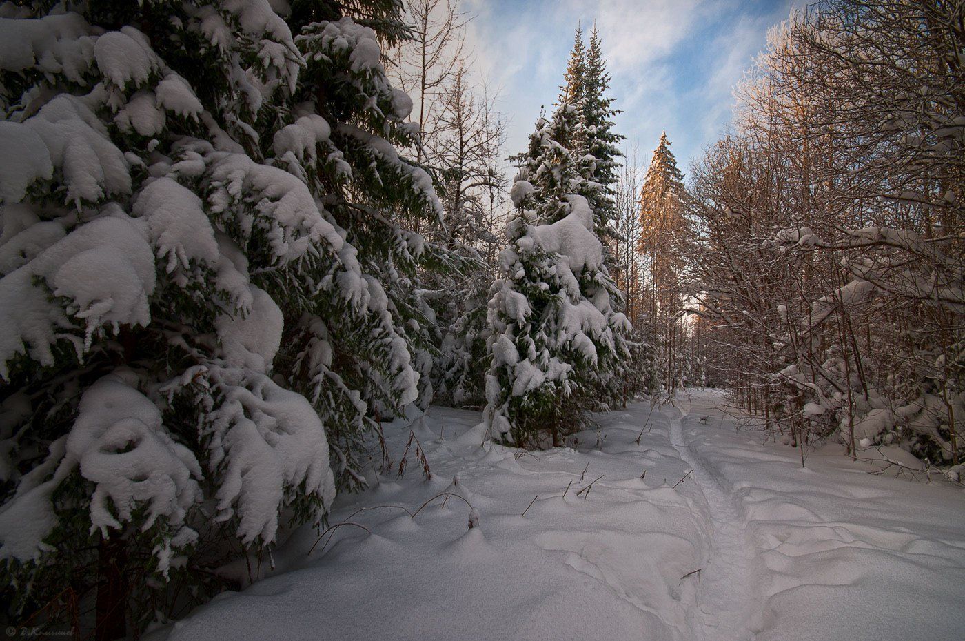 лес, зима, мороз, снег, тропинка, природа, пейзаж, Владимир Комышев