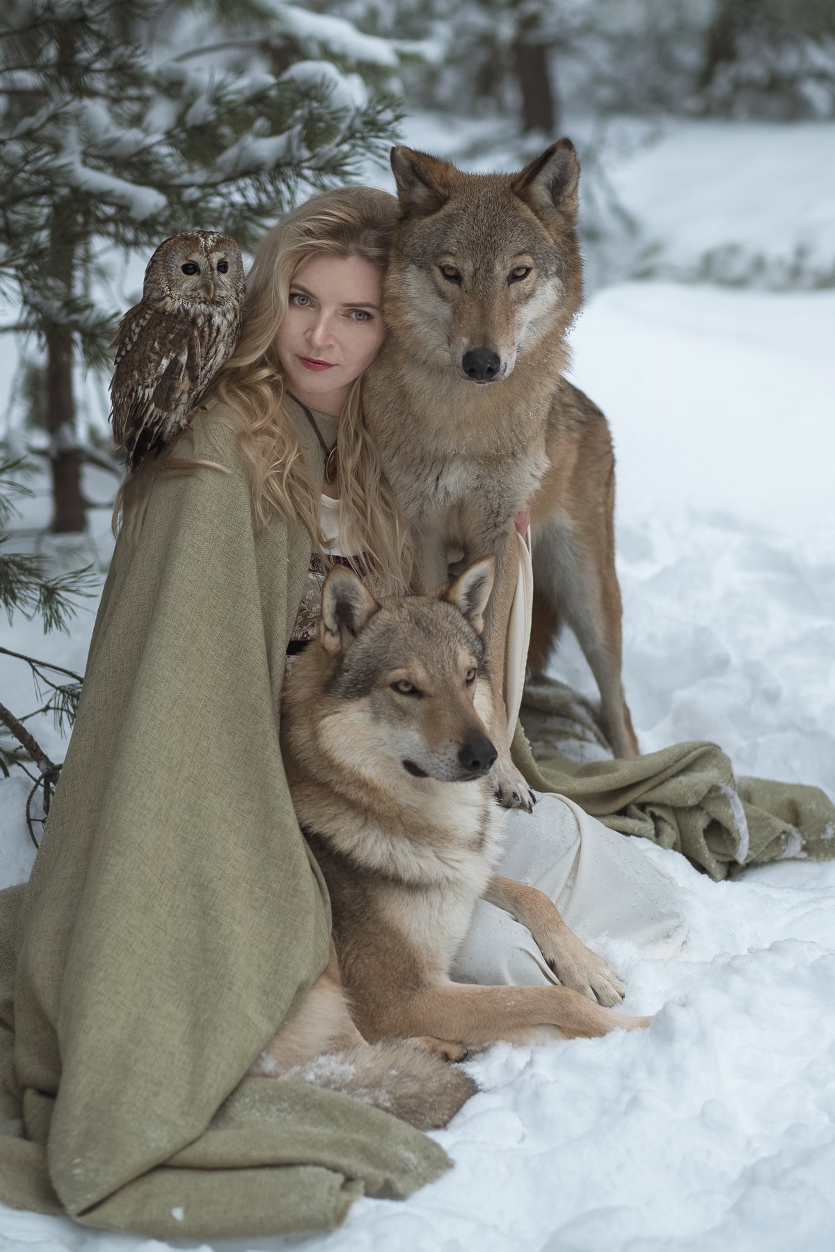 photo, wolf, owl, girl, dream, Ольга Баранцева