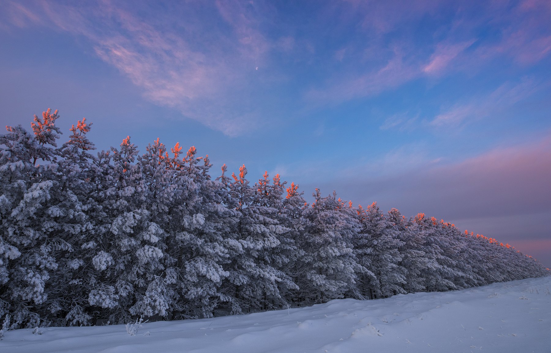зима, снег, мороз, закат, деревья, Александр Макеев