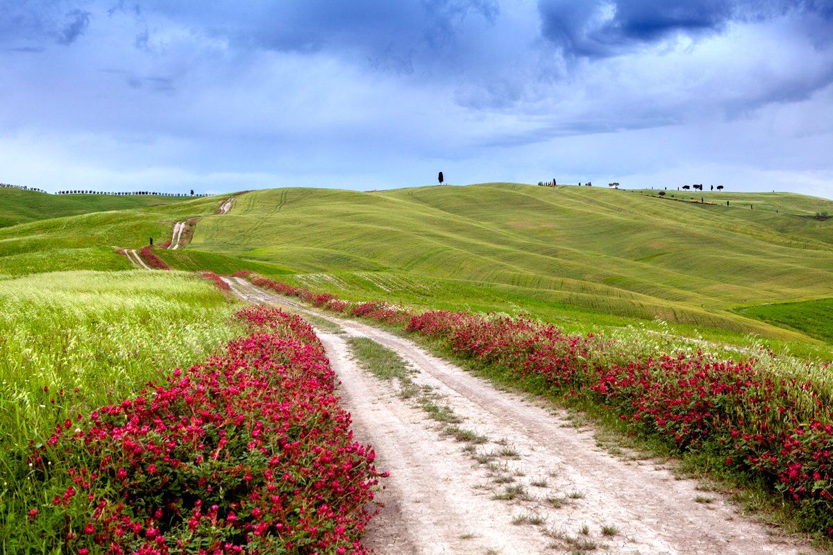 Italy, tuscany, landscape, spring, road,, Igor Sokolovsky