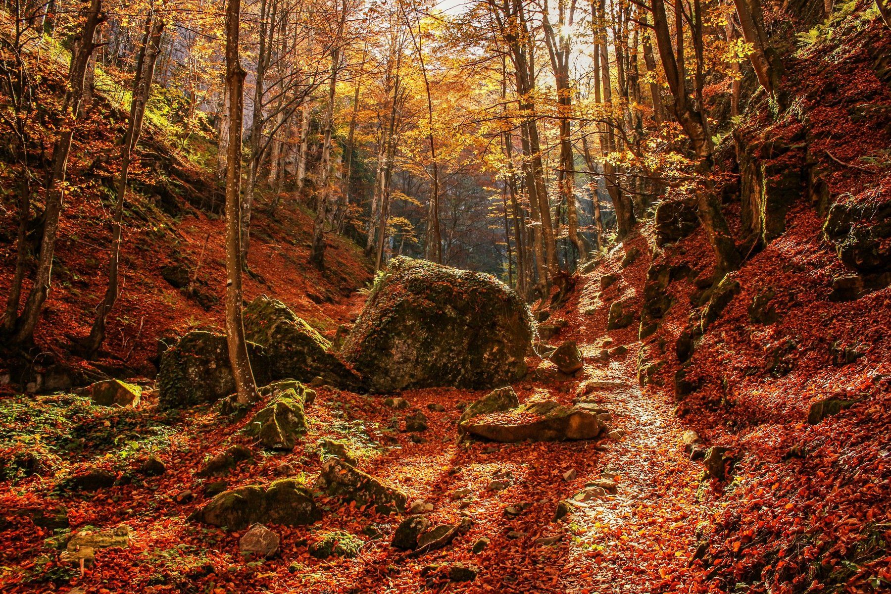 forest, bulgaria, rocks, autumn, teteven, waterfalls, Бистра Стоименова