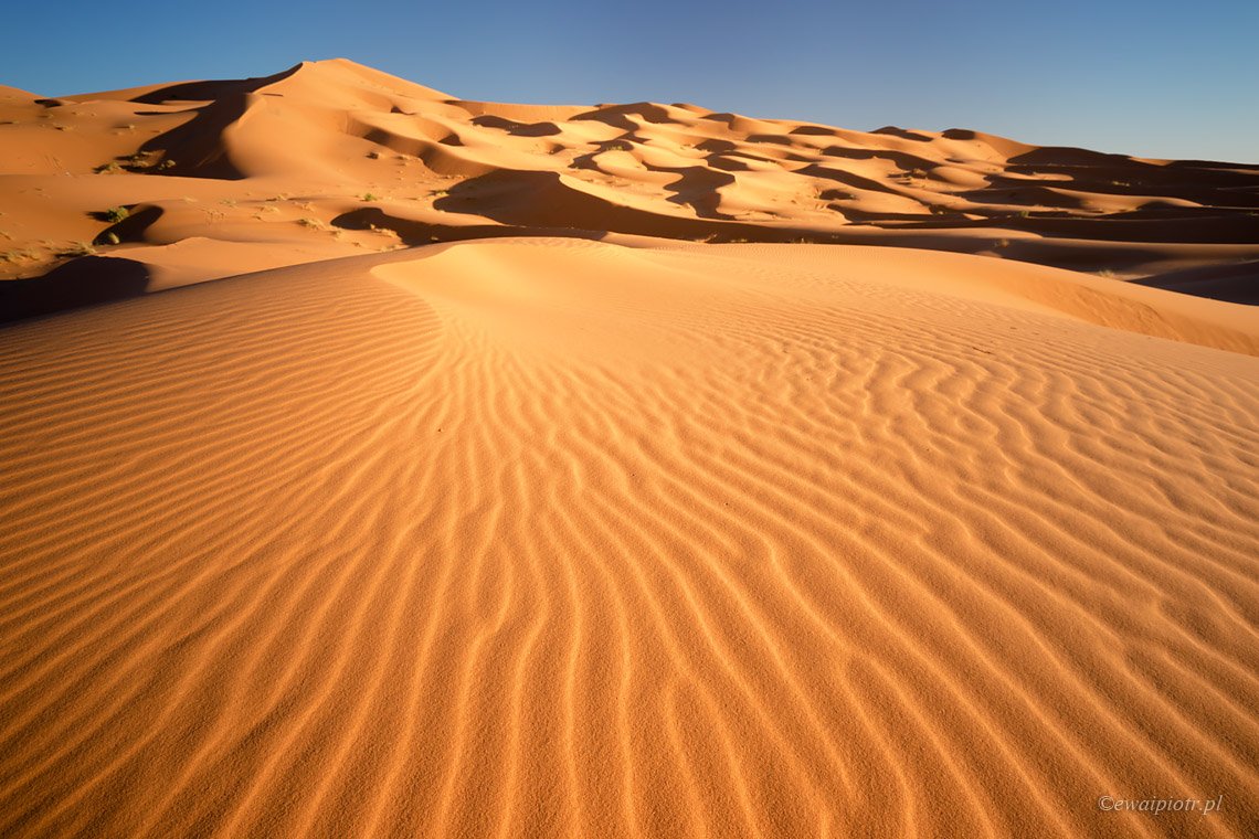 morocco, desert, sand, dunes,, Piotr Debek