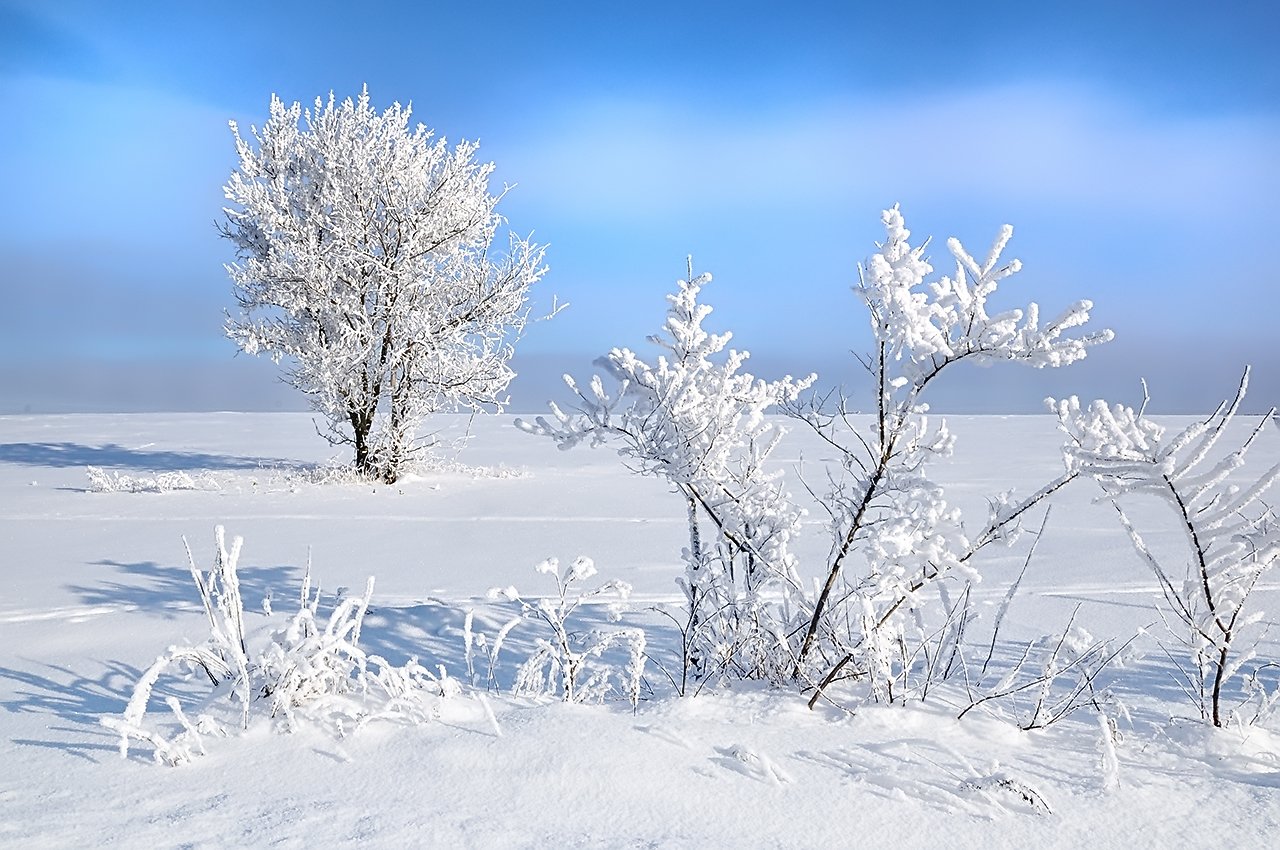 зима, январь, пейзаж, ясно, иней, nikon, Лопухов Сергей