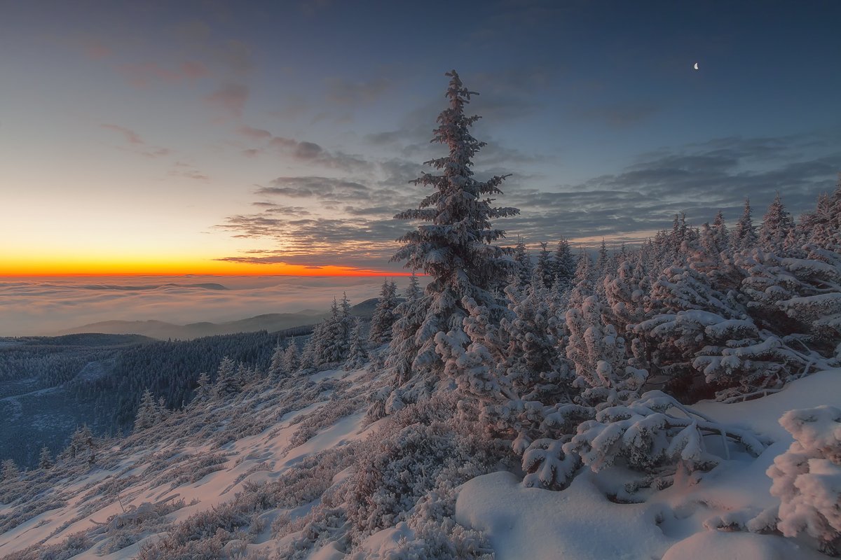 landscape,canon,winter,sunrise, Iza,Darek