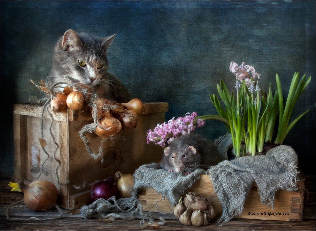 крысиные истории, натюрморт, натюркотики, rats'n'cats, весна, лук, гиацинт, мускари, кошка, крыса-дамбо, Eleonora Grigorjeva