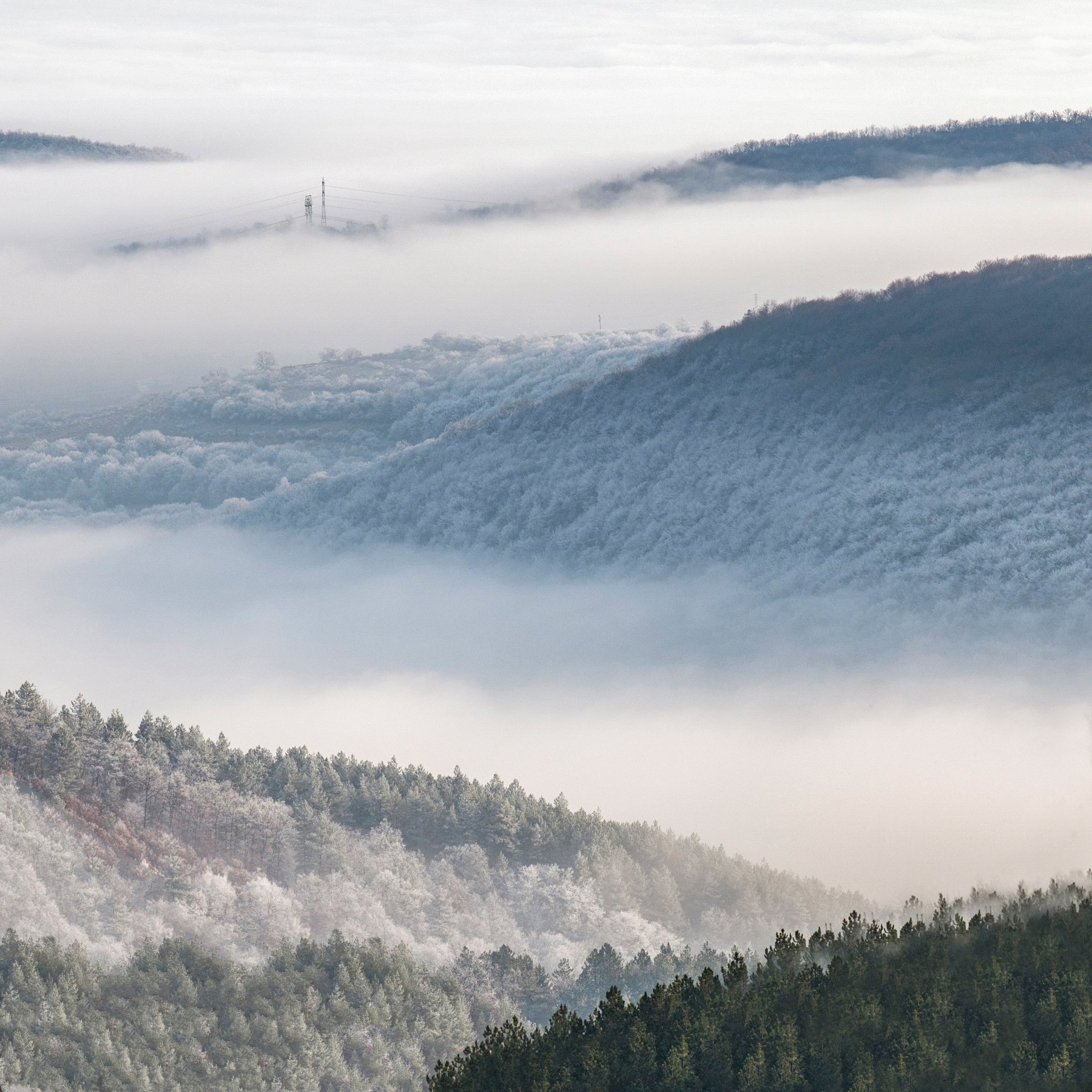 fog, mountain, landscape, nature, forest, tree, snow, white, Иван Димитров