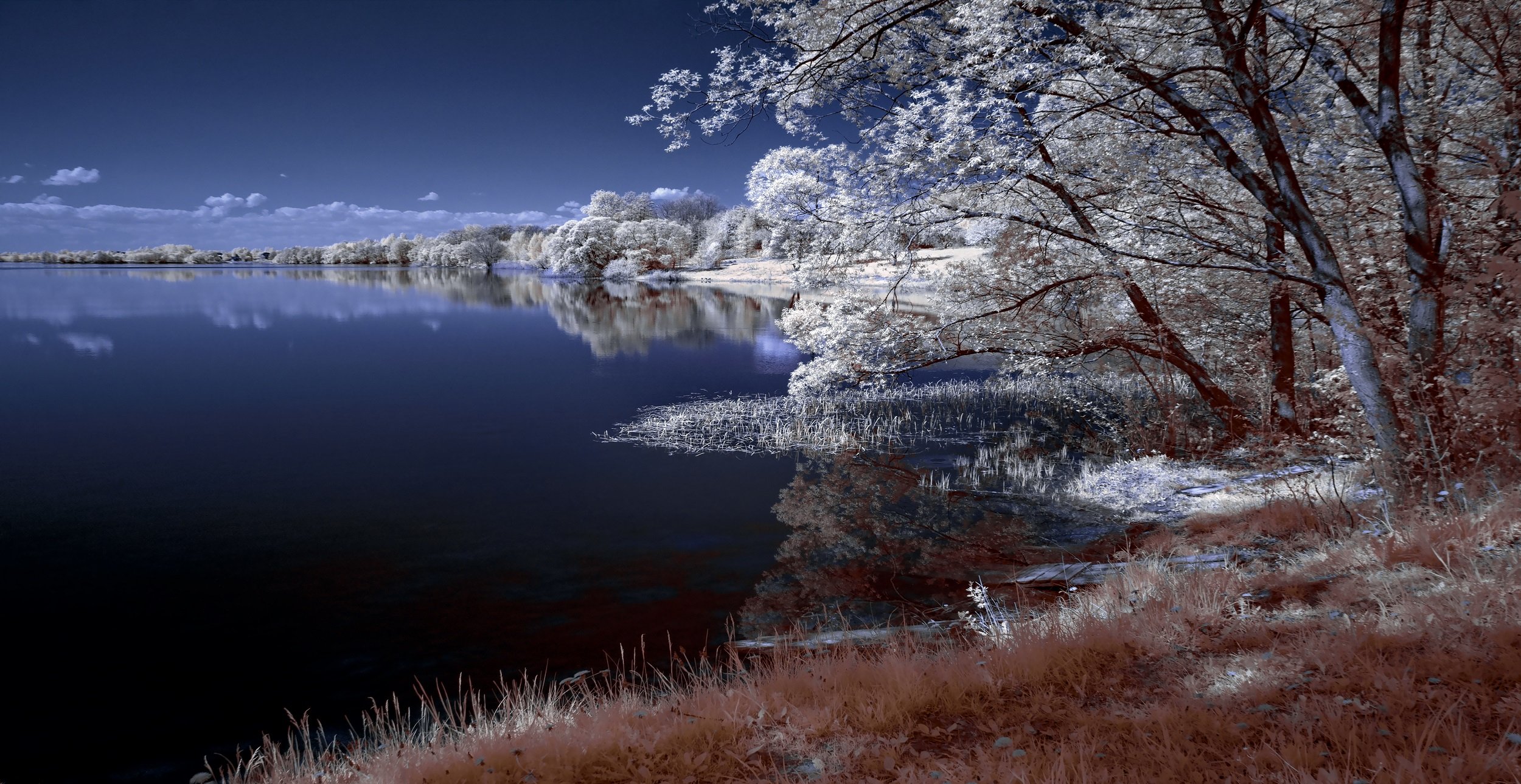 infrared,ик-фото,инфракрасная фотография,пейзаж,природа,весна,беларусь, Sixten ( Сергей )