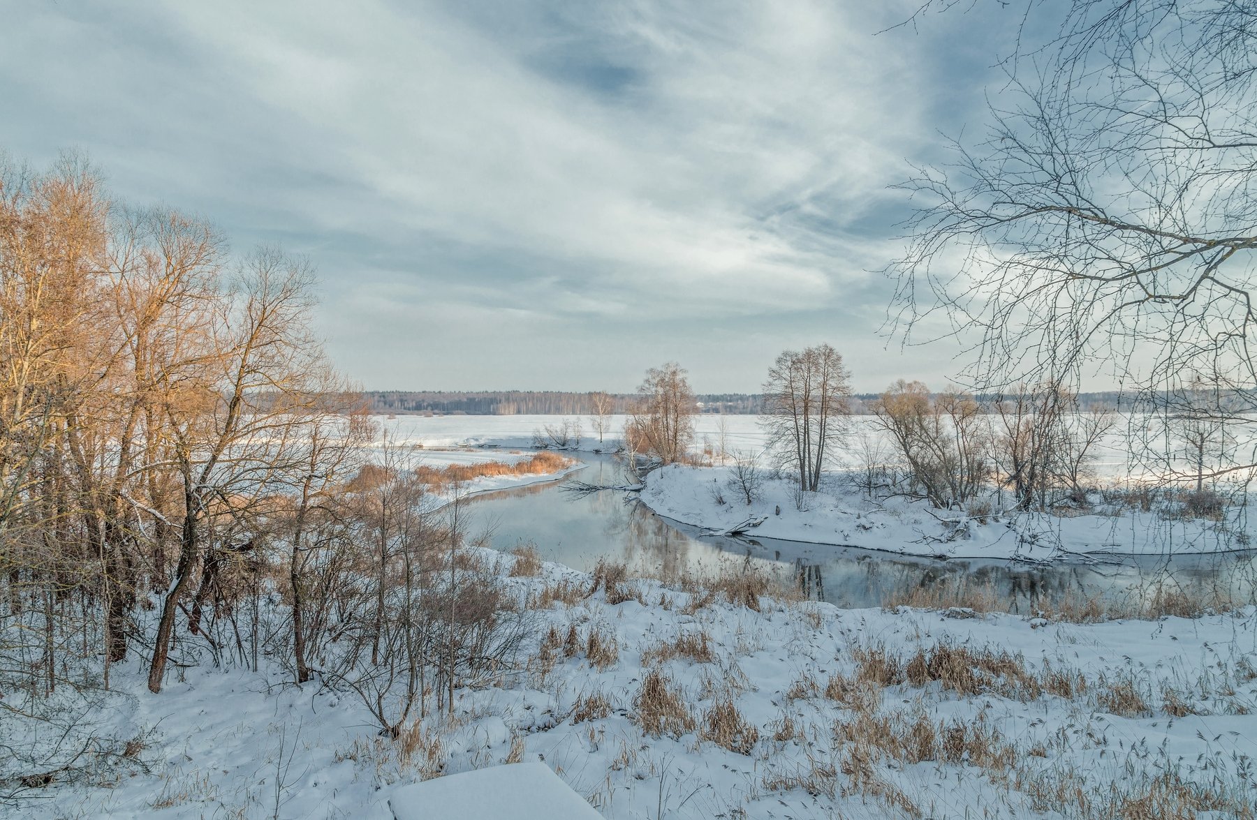 зима январь месяц пейзаж река клязьма московкая область село осеево снег трава деревья горизонт лес небо облака природа, Валерий