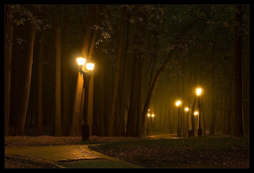 парк, вечер, фонари, деревья, туман, город, Oleg Dmitriev