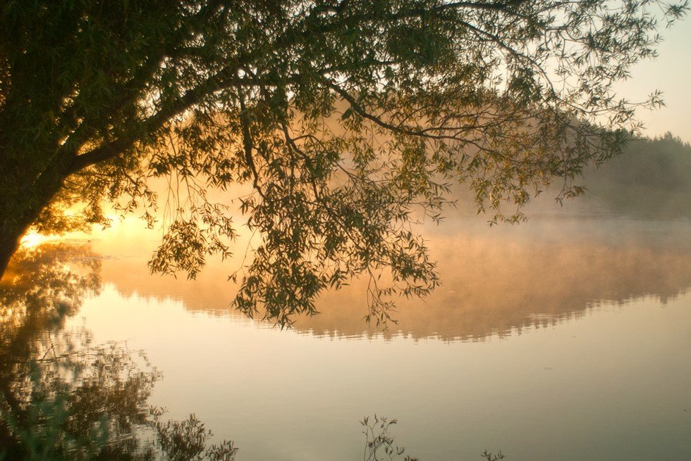 вода, заря, озеро, отражение, природа, рассвет, туман, утро, Дмитрий Недочитанный